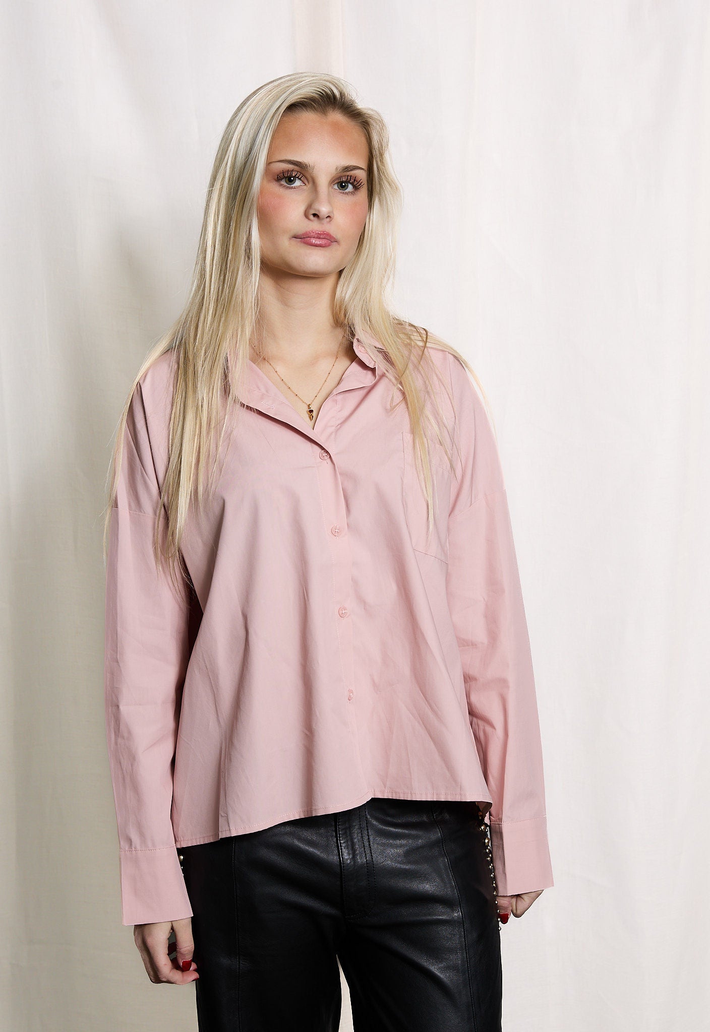 Living the dream shirt